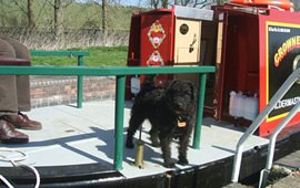 Pet Friendly Canal Boats Pet Friendly Canal Boats